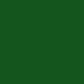 RAL 6010 RAL 6010