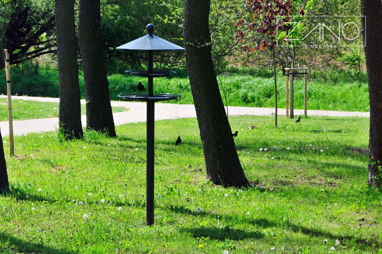 Bird feeder city park